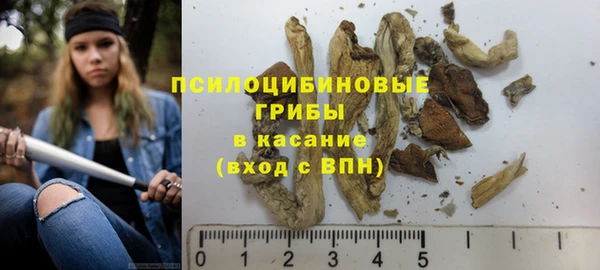 прущая мука Арсеньев