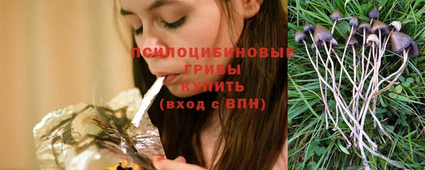 прущая мука Арсеньев
