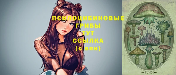 прущая мука Арсеньев