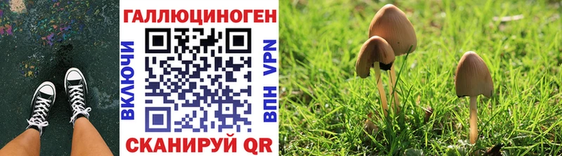 Псилоцибиновые грибы прущие грибы  что такое наркотик  Козьмодемьянск 